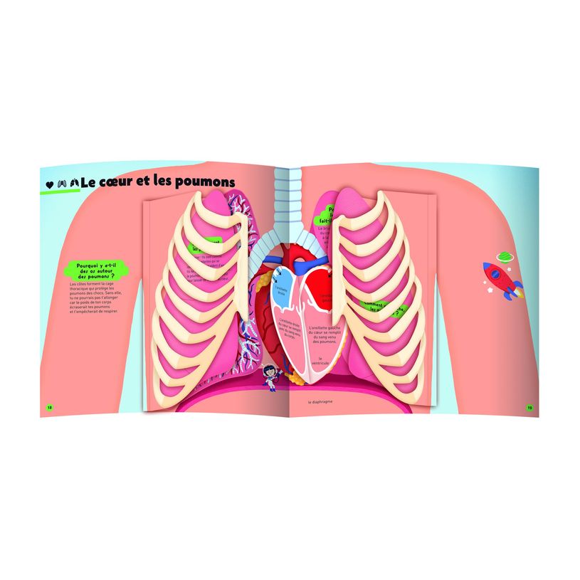 9782092585610-Le grand Kididoc du corps humain - Livre pop-up - dès 4 ans-P_405259519_7-3