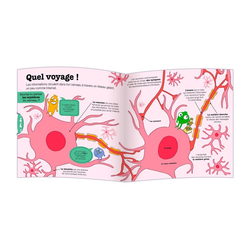 9782095042264-Kididoc - Explore ton cerveau - documentaire 100% animé - dès 5 ans-P_405259534_4-4