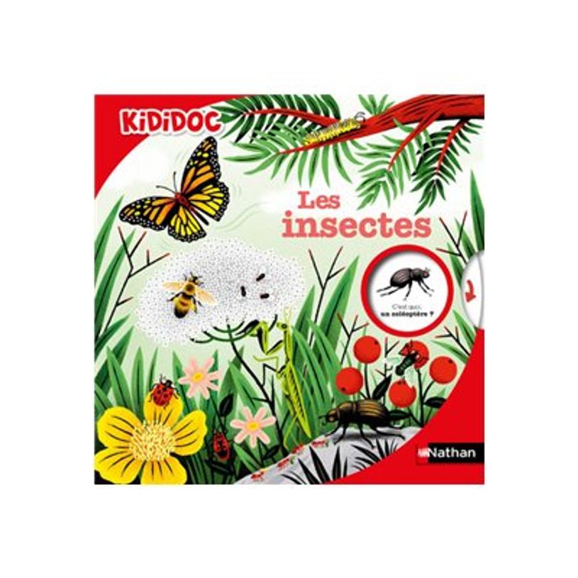 9782092591789-Les Insectes - Kididoc - Livre animé - Dès 6 ans-P_405259538_2-0