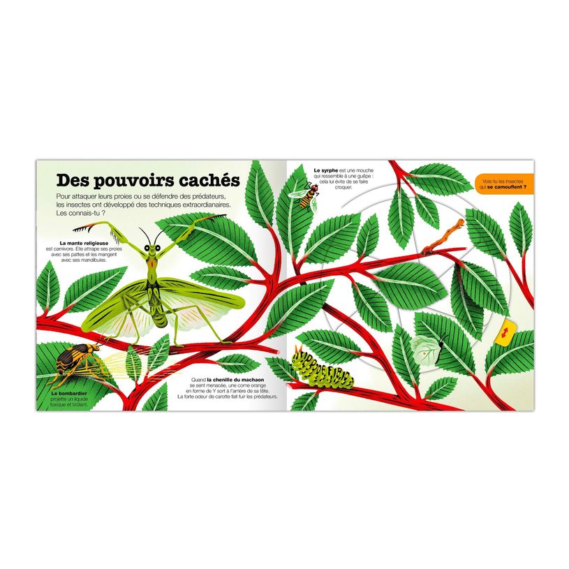 9782092591789-Les Insectes - Kididoc - Livre animé - Dès 6 ans-P_405259538_3-2