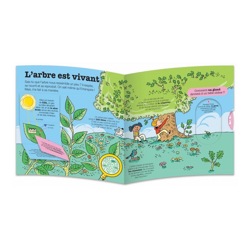 9782092493632-La vie des arbres - Kididoc - Livre animé - Dès 6 ans-P_405259552_1-1