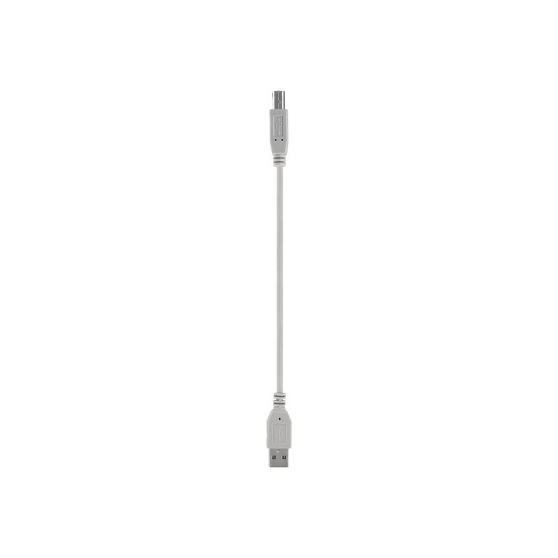 3303170079126-T'nB - Câble USB - USB (M) pour USB type B (M) - USB 2.0 - 3 m - gris-P_405261758_2-1