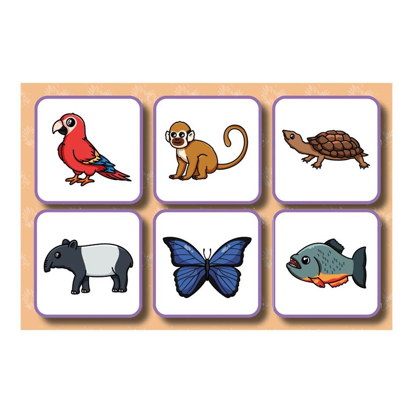 3505122530048-Ludom - Loto - Animaux de la Guyane française - jeu de cartes-P_405262340_2-2