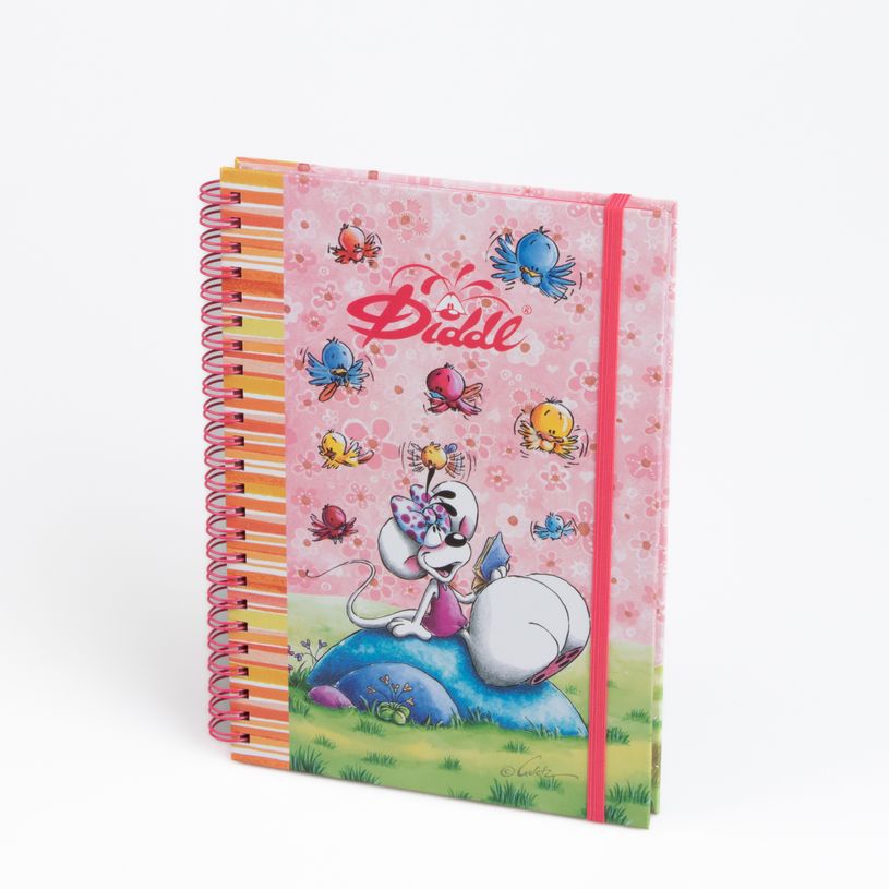 3519570301334-Diddl - Cahier à spirale A5 élastique à paillettes--1