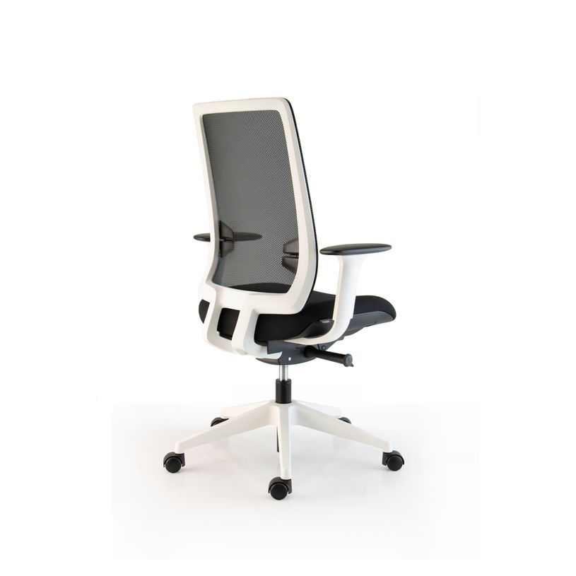 3660916007455-Fauteuil EVON - accoudoirs 4D - pietement blanc--2