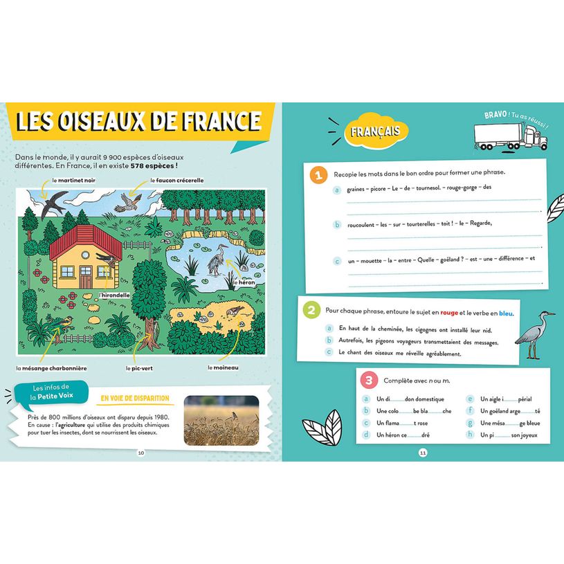 9791039538824-C'est pas sorcier de réviser en vacances - du CE1 au CE2--2