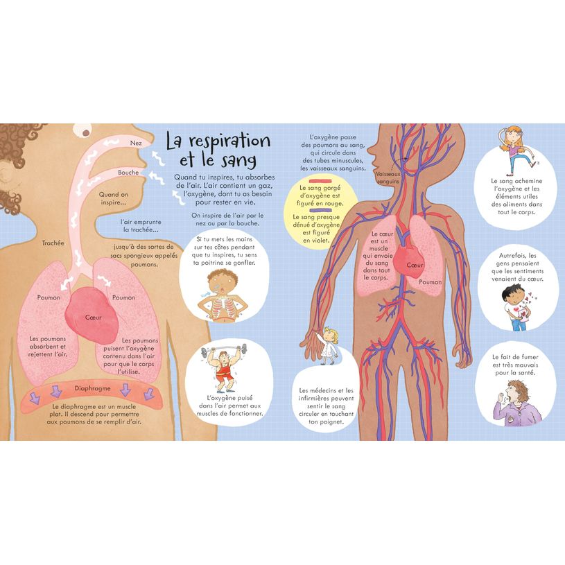 9781409540366-Usborne - Le corps humain--3