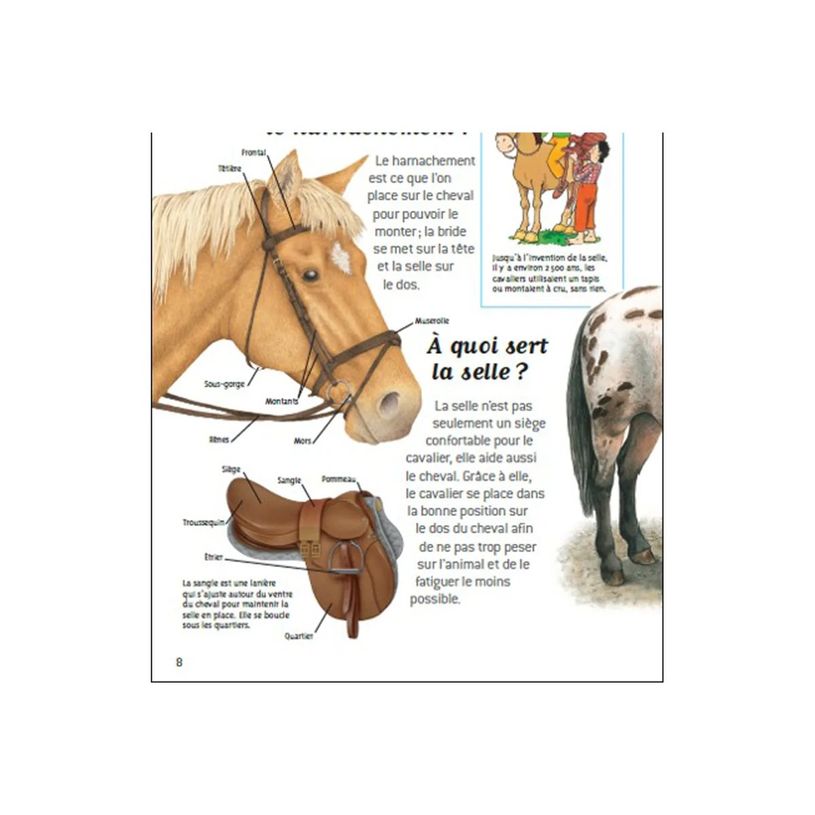 9782092492819-Passion chevaux - livre d'images-P_405264719_3-1