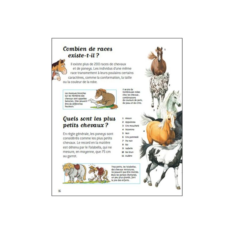 9782092492819-Passion chevaux - livre d'images-P_405264719_5-5