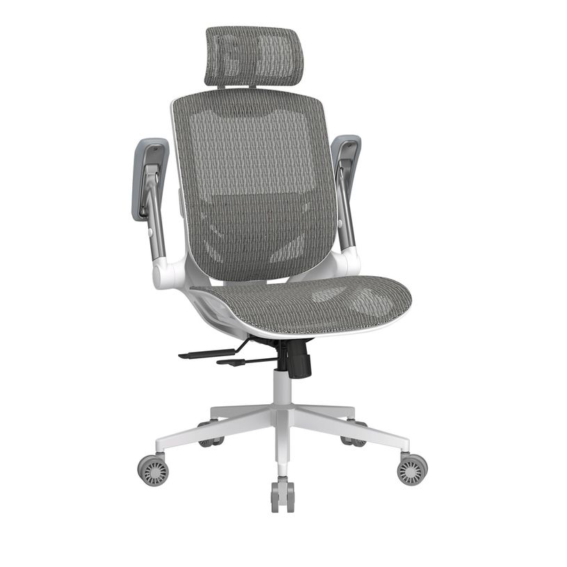 4711649770037-Fauteuil Cougar Speeder One - accoudoirs rabattables - appuie-tête réglable - blanc--3