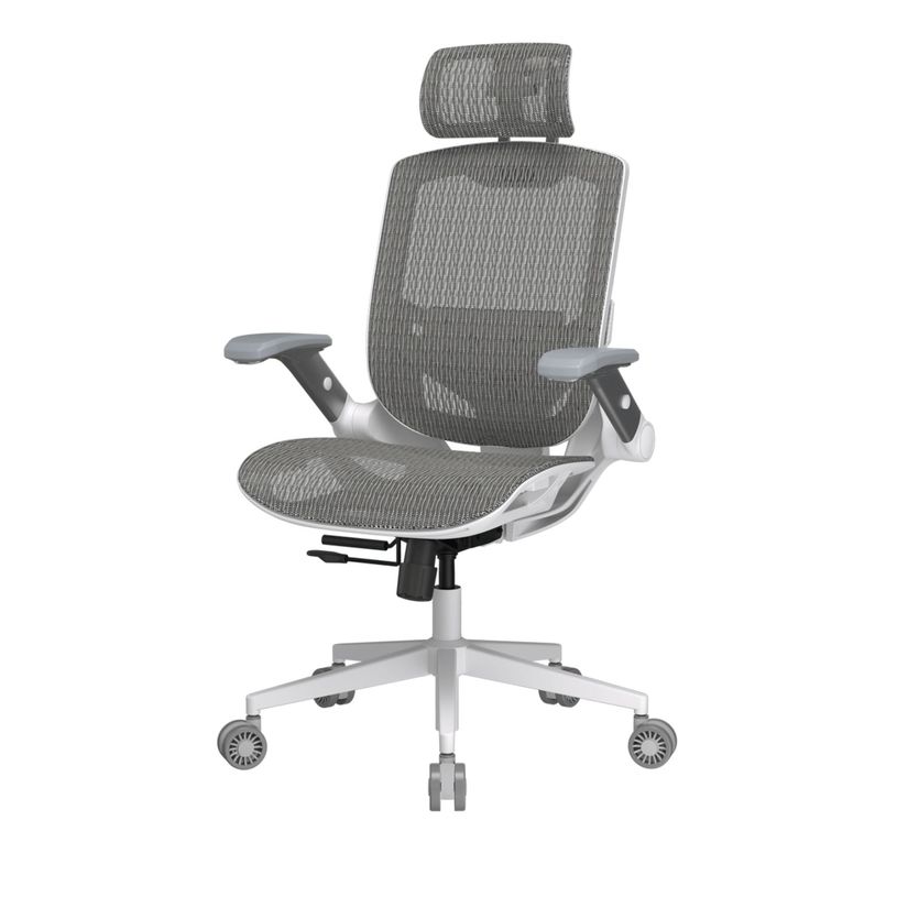 4711649770037-Fauteuil Cougar Speeder One - accoudoirs rabattables - appuie-tête réglable - blanc--2