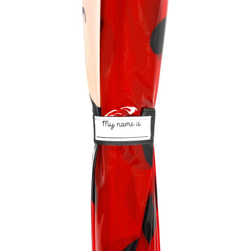 8052694113179-Legami – Parapluie Enfant Coccinelle Ladybug Dancin' in the Rain--2