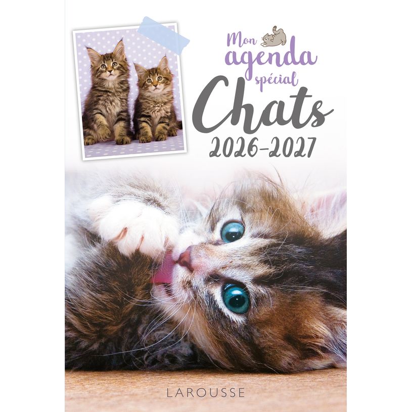 9782036088702-Agenda scolaire CHATS --0