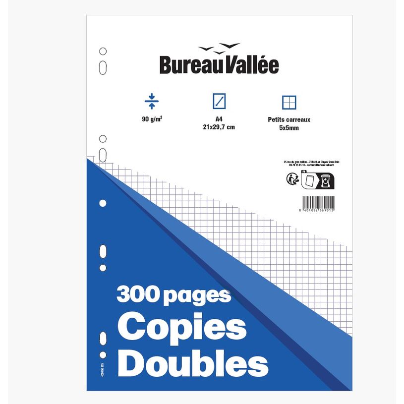 -Bureau Vallée - Copies Doubles - 300 pages - A4 - Petits carreaux - Perforées--0