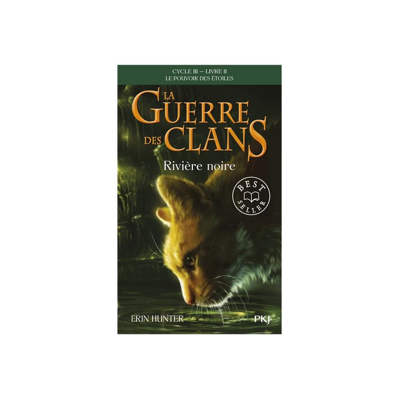 9782266282635-La Guerre des Clans - Cycle III - Tome 2 Rivière noire-P_405266703_1-0