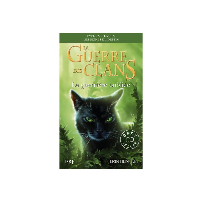 9782266330060-La Guerre des Clans - Cycle IV - Tome 5 La guerrière oublié-P_405266712_1-0