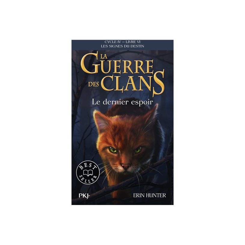 9782266330077-La Guerre des Clans - Cycle IV - Tome 6 Le dernier espoir-P_405266713_1-0