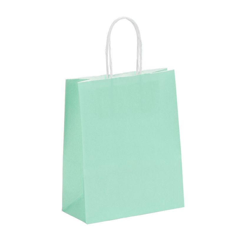 3135250988864-50 Sacs cadeau kraft - poignées torsadées - 18 cm x 8 cm x 24 cm - vert pastel--0