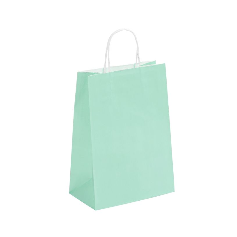 3135250988925-50 Sacs cadeau kraft - poignées torsadées - 22 cm x 10 cm x 31 cm - vert pastel--0