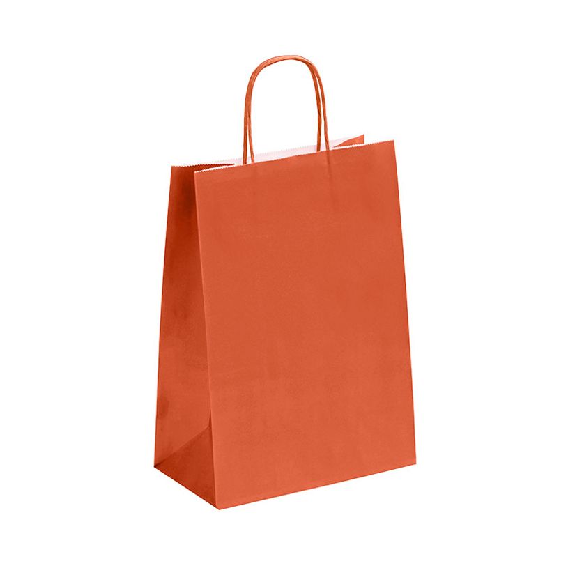 3135250900804-50 Sacs cadeau kraft - poignées torsadées - 22 cm x 10 cm x 31 cm - terracotta--0