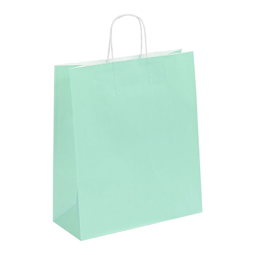 3135250988987-50 Sacs cadeau kraft - poignées torsadées - 35 cm x 13 cm x 40 cm - vert pastel--0