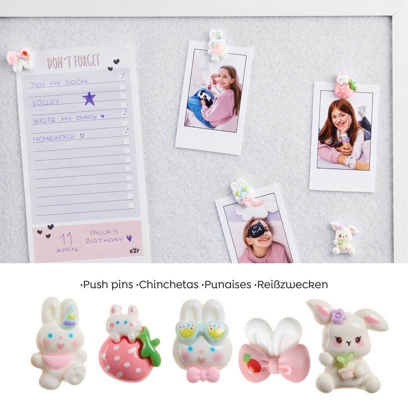 8422593133828-Blister de 5 punaises Lapin Back2Fun--2