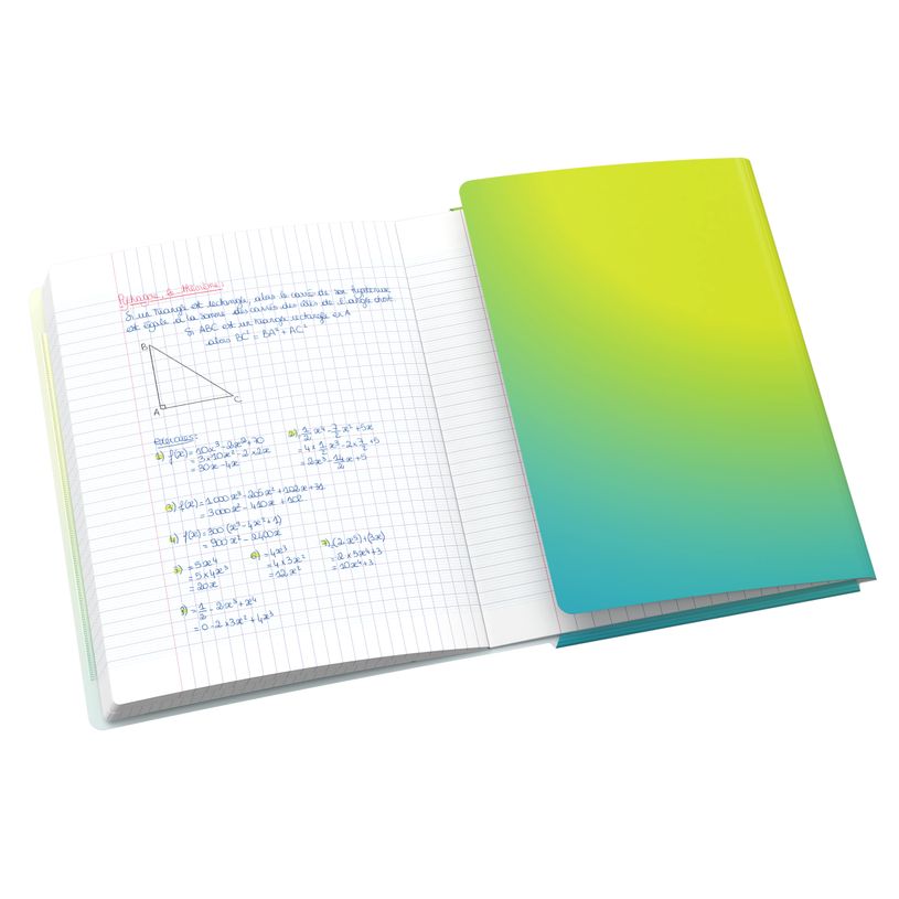 3020120297033-Oxford EasyBook Fusion – Cahier polypro – 24 × 32 cm – 96 pages – grands carreaux (Seyès) –--2