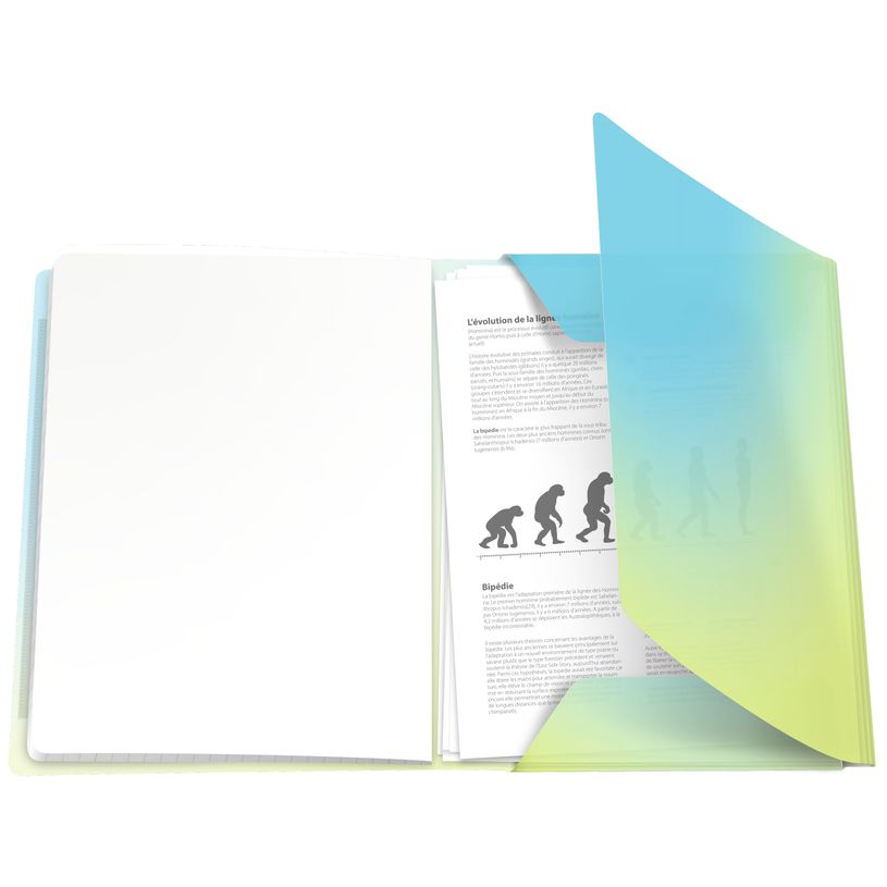 3020120297156-Oxford EasyBook Fusion Pastel – Cahier polypro – 24 × 32 cm – 96 pages – grands carreaux (Sey