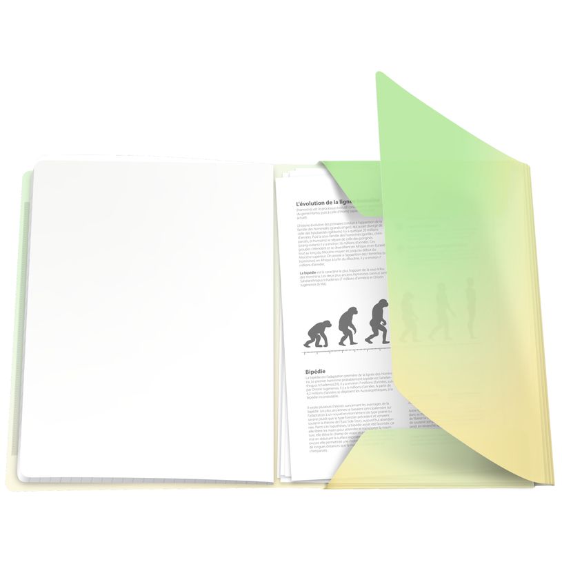 3020120297194-Oxford EasyBook Fusion Pastel – Cahier polypro – 24 × 32 cm – 96 pages – grands carreaux (Sey
