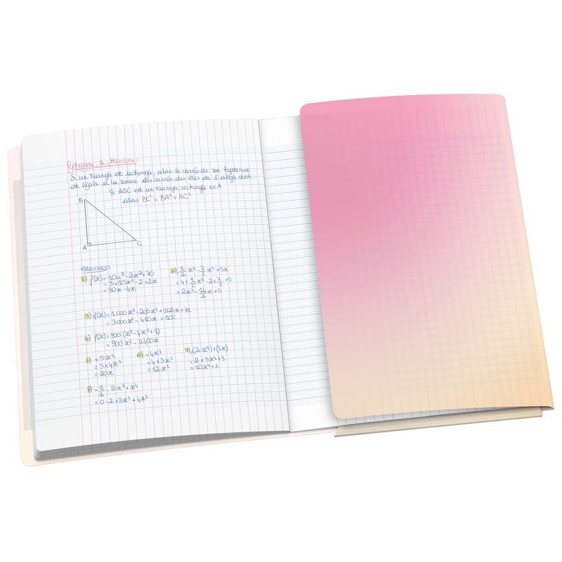 3020120297309-Oxford EasyBook Fusion Pastel – Cahier polypro – 24 × 32 cm – 96 pages – grands carreaux (Sey