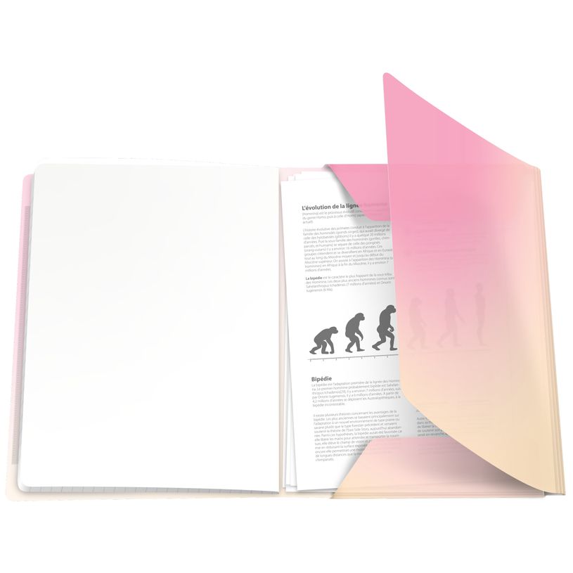 3020120297309-Oxford EasyBook Fusion Pastel – Cahier polypro – 24 × 32 cm – 96 pages – grands carreaux (Sey