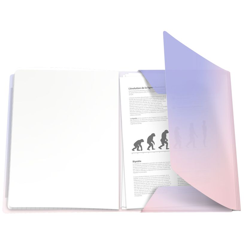 3020120297231-Oxford EasyBook Fusion Pastel – Cahier polypro – 24 × 32 cm – 96 pages – grands carreaux (Sey
