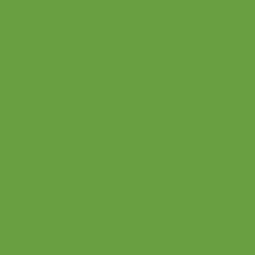 887452065265-Liquitex Marqueur - 2mm - VERT CLAIR METALLIQUE--2