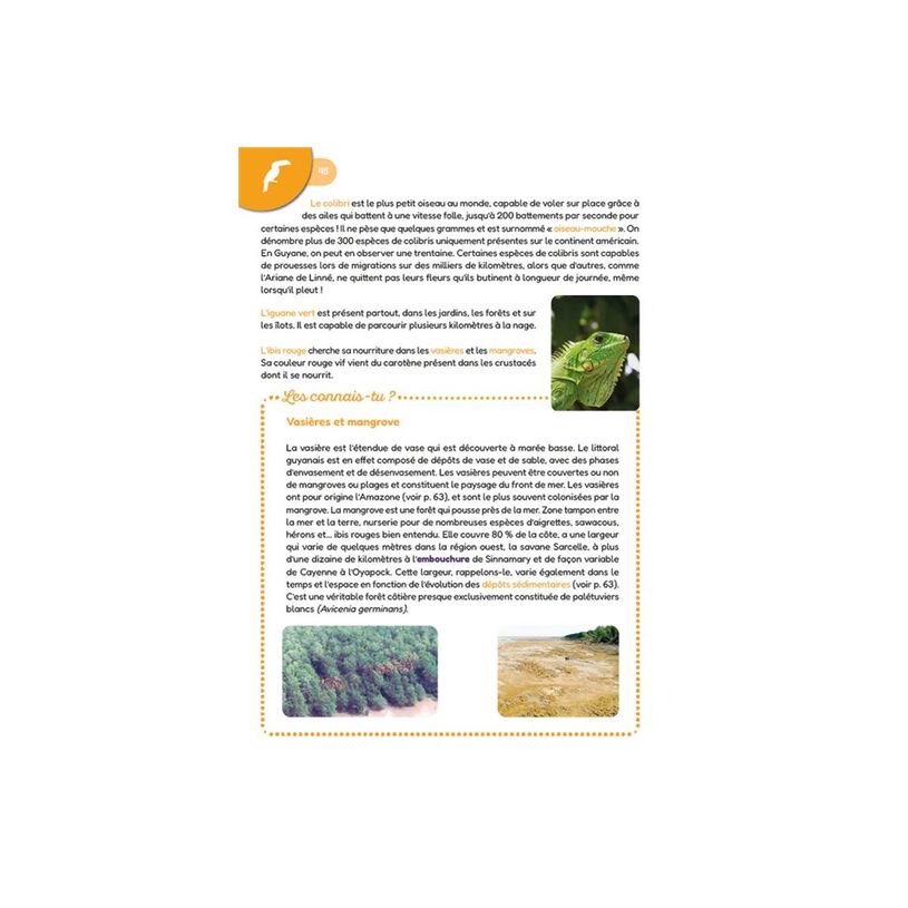 9791029807404-Encyclopédie junior de la Guyane - par Céline Amoravain, Thierry Bergame - livre-P_405268321_8-2