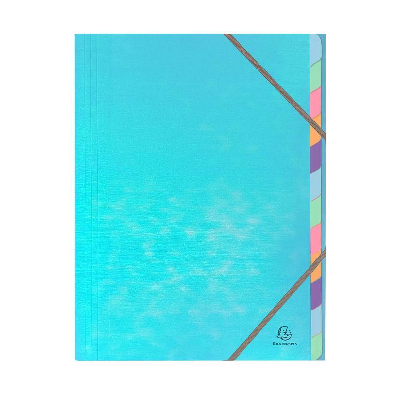 3130630532309-Exacompta Candy Tidy - Trieur 12 positions - A4 - disponible dans différentes couleurs--1