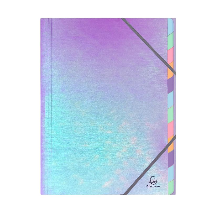 3130630532309-Exacompta Candy Tidy - Trieur 12 positions - A4 - disponible dans différentes couleurs--3