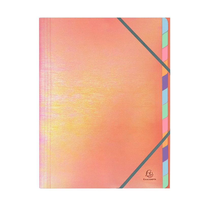 3130630532309-Exacompta Candy Tidy - Trieur 12 positions - A4 - disponible dans différentes couleurs--4