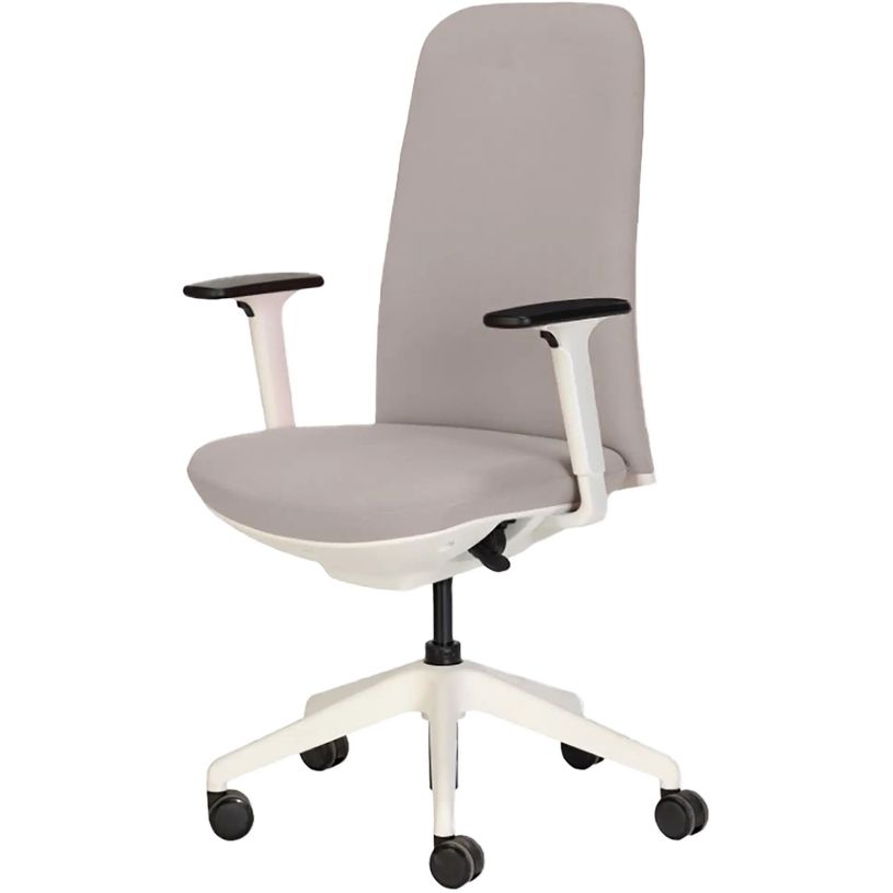 3760185026673-Fauteuil de bureau NEST - accoudoirs réglables en hauteur - gris--1