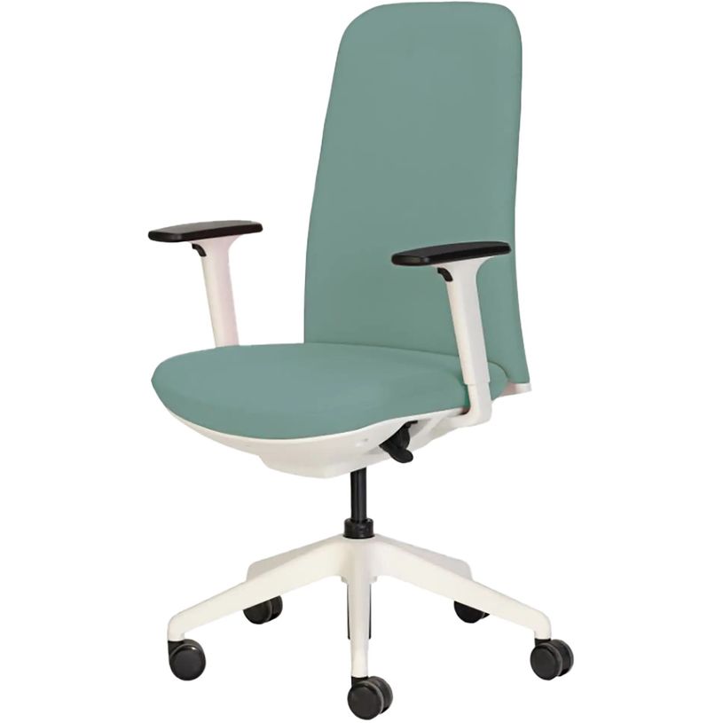 3760185026666-Fauteuil de bureau NEST - accoudoirs réglables en hauteur - vert d'eau--1