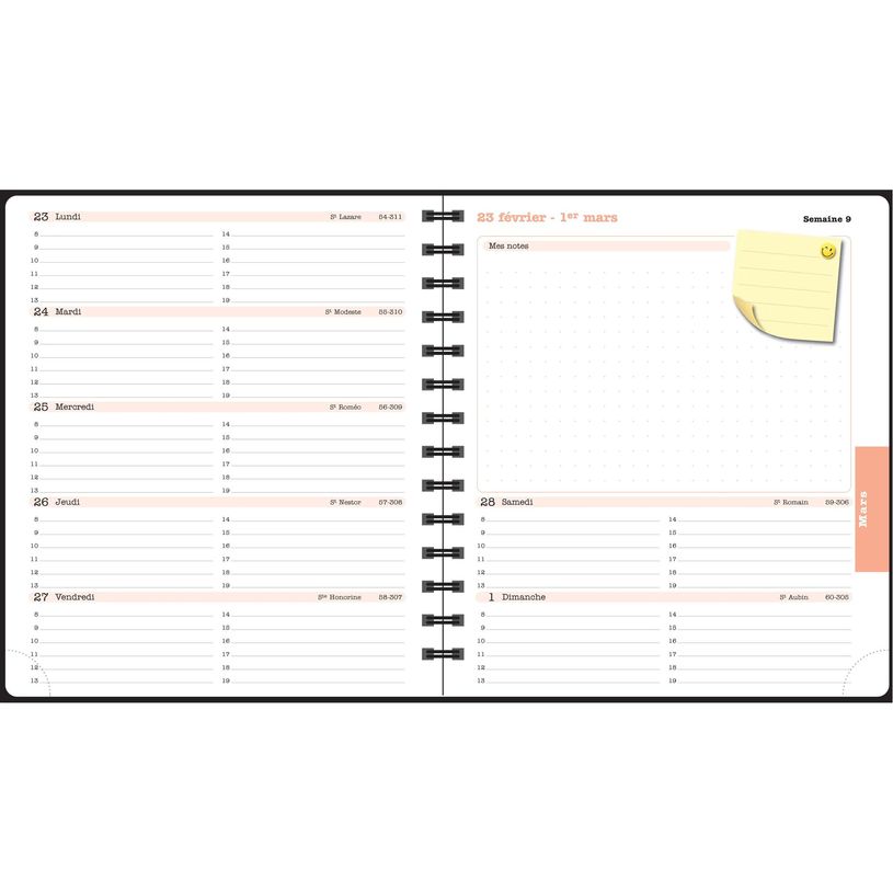 3660942091770-Agenda de bureau spiralé Sophie Adde Lady 18S - 1 semaine sur 2 pages - 15 x 17 cm - Oiseaux - Exacomp--7