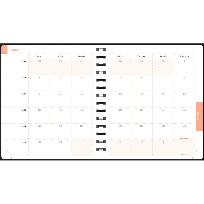 3660942091770-Agenda de bureau spiralé Sophie Adde Lady 18S - 1 semaine sur 2 pages - 15 x 17 cm - Oiseaux - Exacomp--8