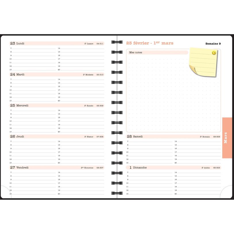 3660942091787-Agenda de bureau spiralé Sophie Adde Lady 20S - 1 semaine sur 2 pages - 15 x 21 cm - Cerisiers - Exaco--8