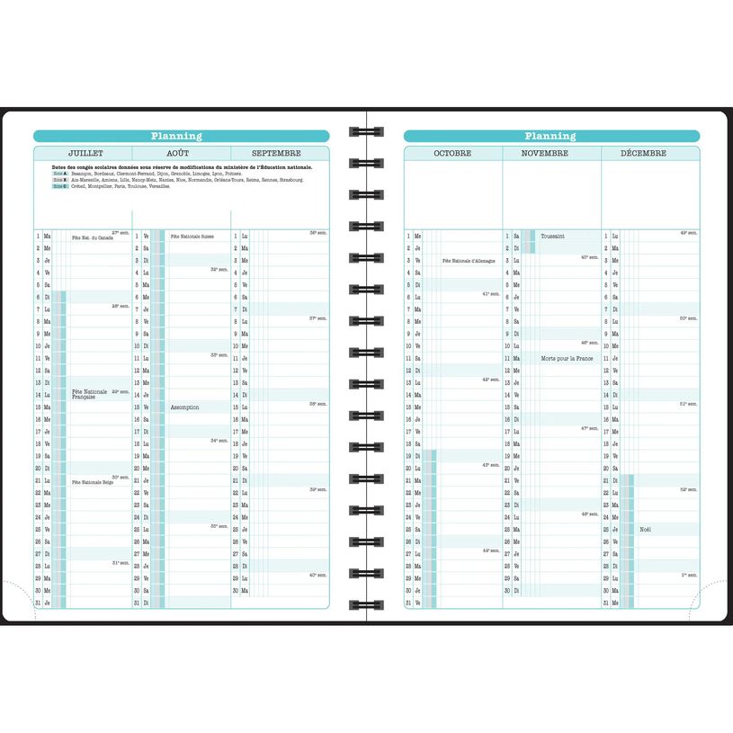 3660942091787-Agenda de bureau spiralé Sophie Adde Lady 20S - 1 semaine sur 2 pages - 15 x 21 cm - Cerisiers - Exac--10