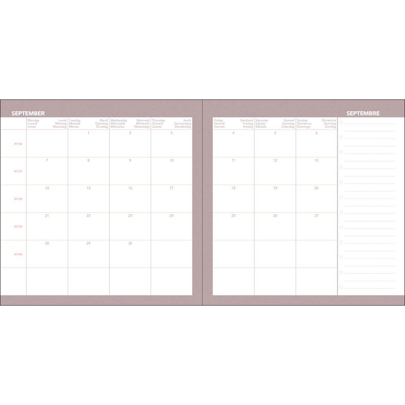 3371010544370-Quo Vadis - Agenda - Exécutif Color - Semainier Planning - Multilingue - Andrea - Rouge - 13 mois de décembre à décembre - 16x16 cm - Papier Clairefontaine blanc - Fabri--2