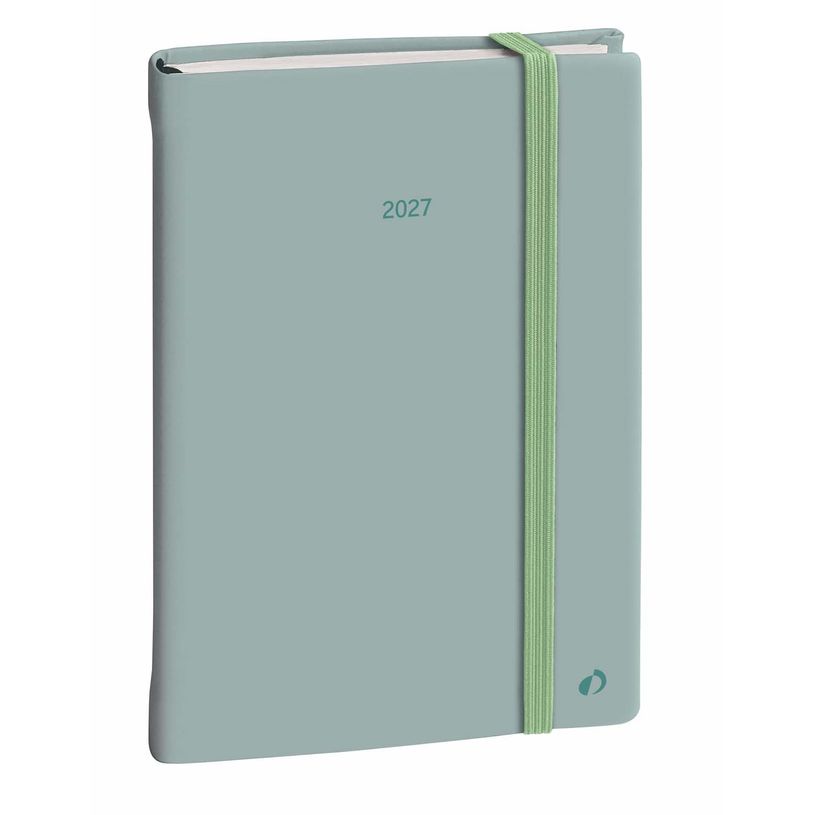 3371010544066-Quo Vadis - Agenda - Daily 21 Color - Journalier - Multilingue - Pastel - Vert clair - 12 mois de janvier à décembre - 15x21 cm - Papier Clairefontaine blanc - Fabri--0