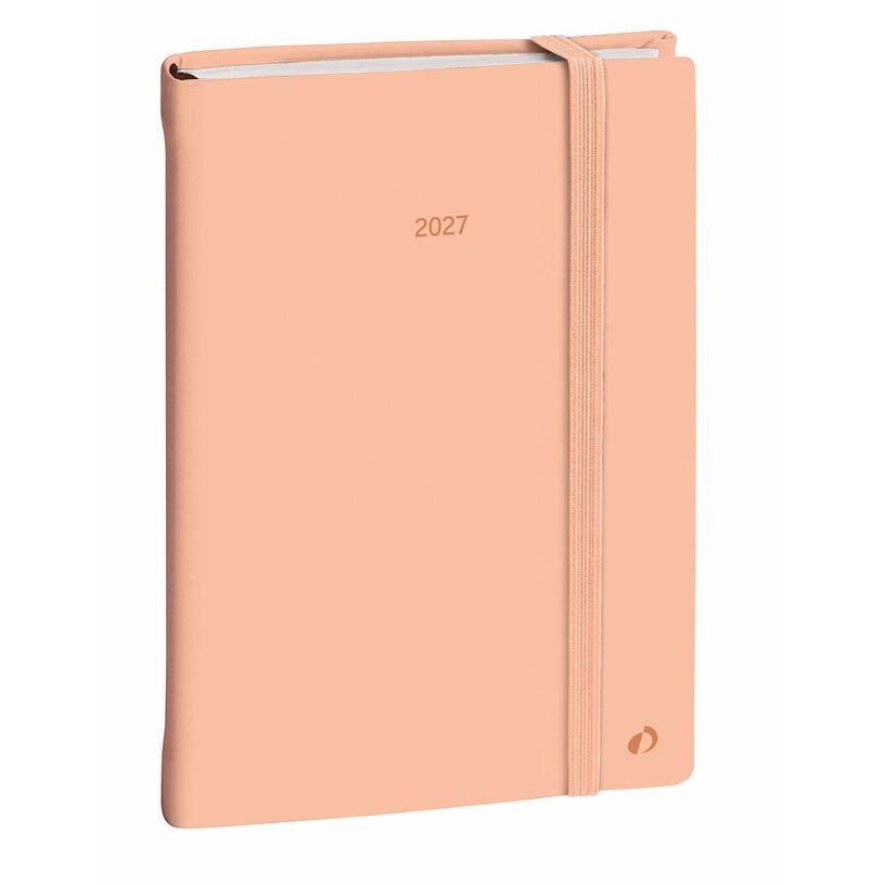3371010544134-Quo Vadis - Agenda - Daily 21 Color - Journalier - Multilingue - Pastel - Orange - 12 mois de janvier à décembre - 15x21 cm - Papier Clairefontaine blanc - Fabri--0