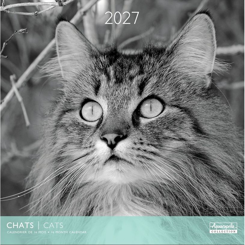 3494150184852-Calendrier mensuel 30X30cm CHATS N&B - 16 mois Aquarupella--0