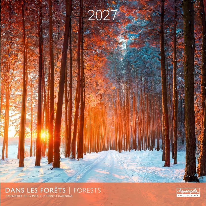 3494150184920-Calendrier mensuel 30X30cm DANS LES FORETS - 16 mois Aquarupella--0