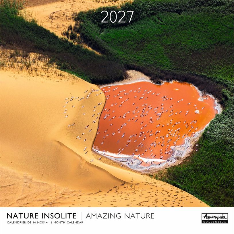 3494150185118-Calendrier mensuel 30X30cm NATURE INSOLITE - 16 mois Aquarupella--0