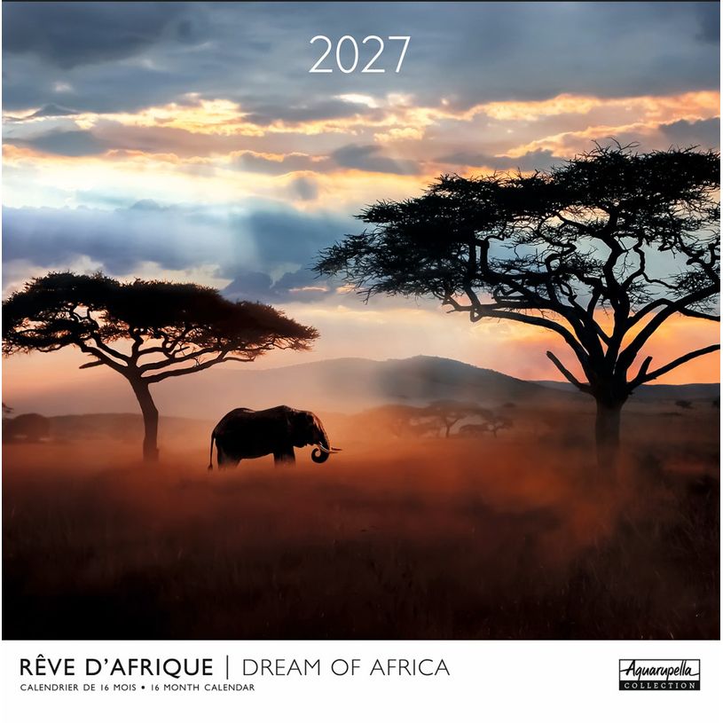 3494150185231-Calendrier mensuel 30X30cm REVES D'AFRIQUE - 16 mois Aquarupella--0